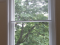secondary glazing supplier in ireland Vertical balanced sliding Secondary glazing window made to measure in ireland